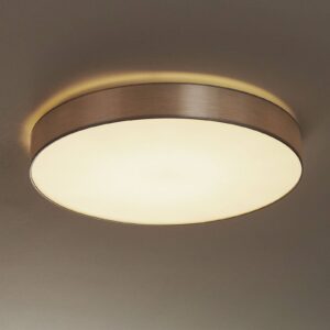 Aurelia - stmívatelné LED stropní světlo