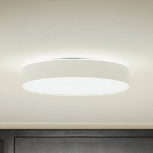 Philips Hue Enrave LED stropní světlo 38